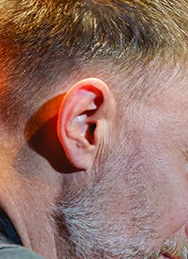 Ear 4