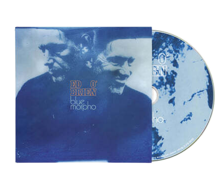 bluemorphocd